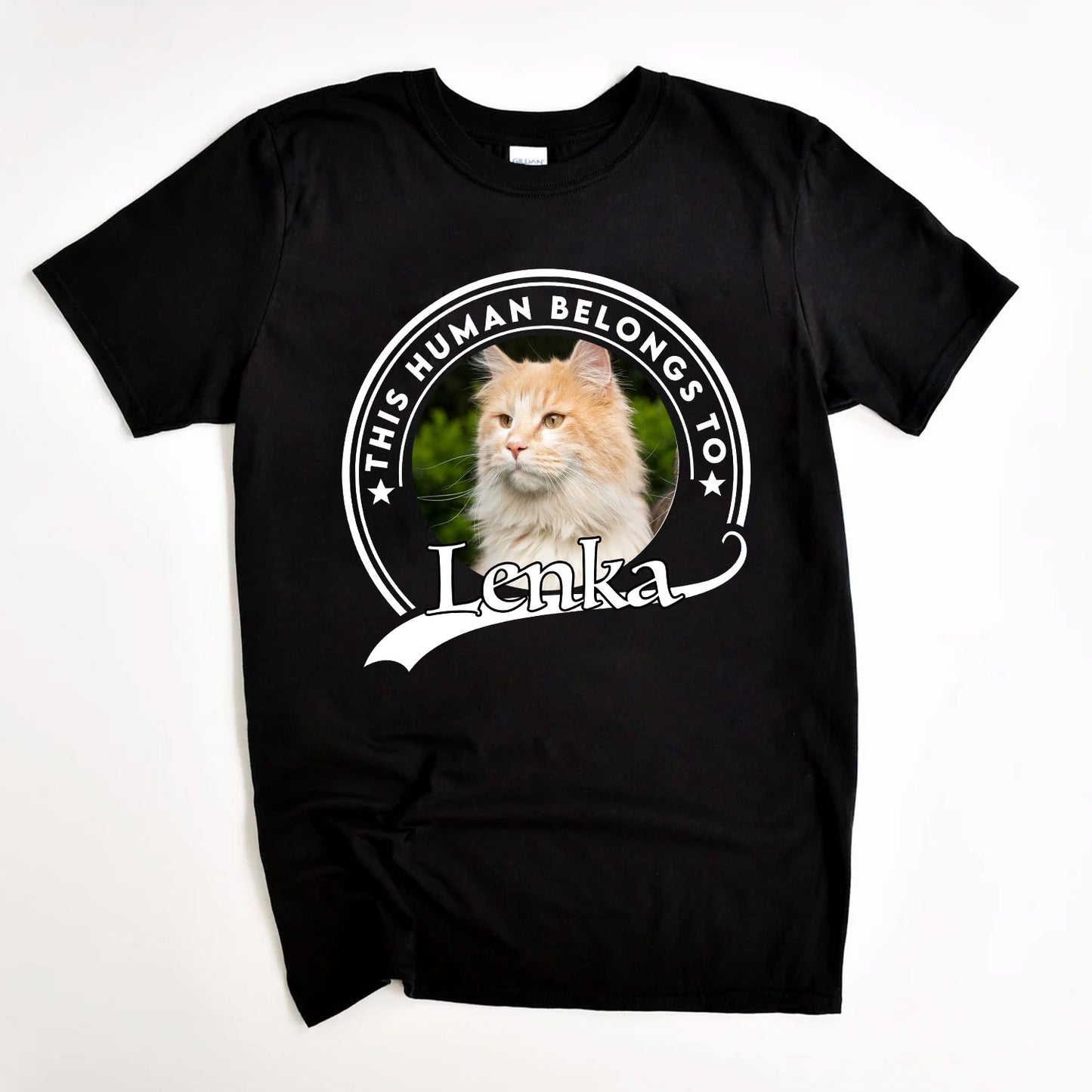 Tričko – This human belongs to pets (s vlastní fotografií)